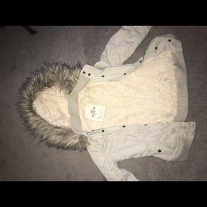 Hollister coat